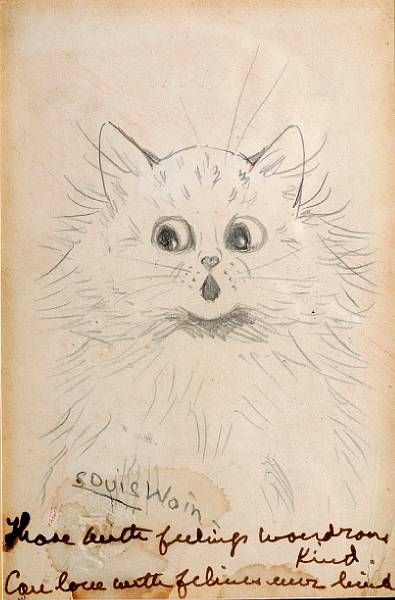 Study of a cat