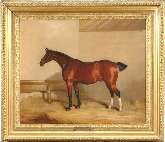 Doctor, in a stable interior