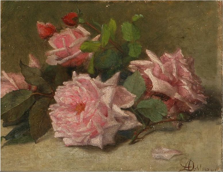 Pink roses