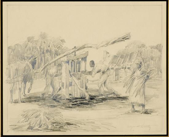 GRINDING SUGAR CANE