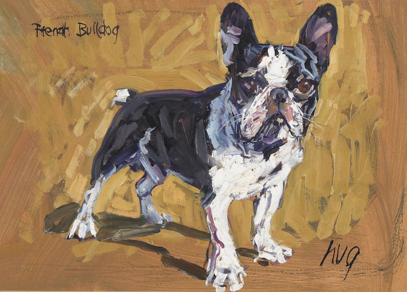 French Bulldog