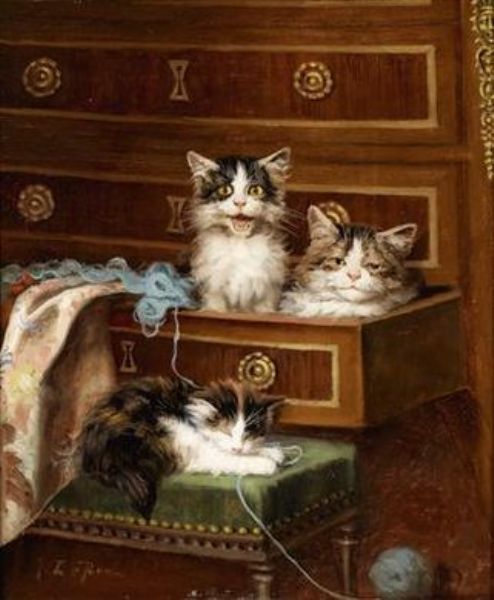 Kittens