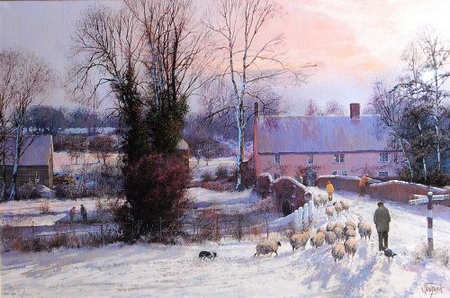 Driving sheep in winter