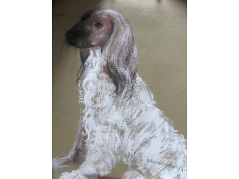 Study of a dog