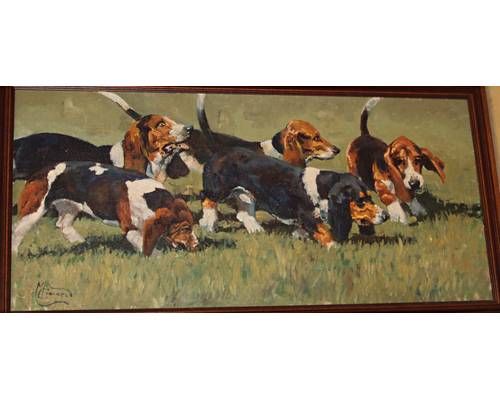 Bassett hounds