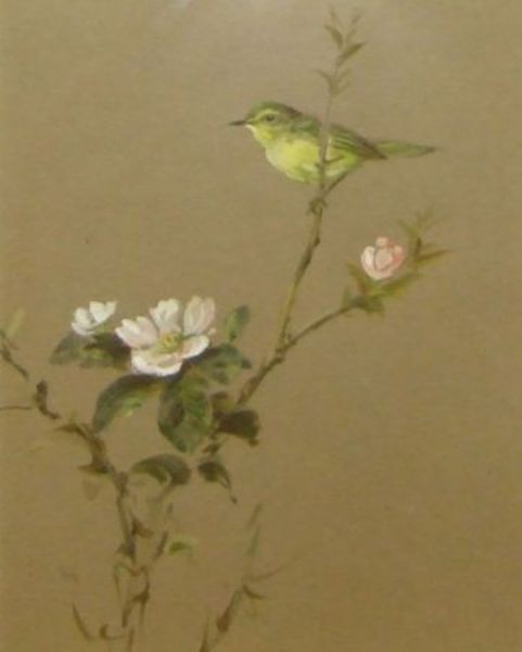 Warbler