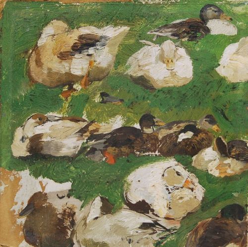 Enten am Ufer der Alten Düssel
