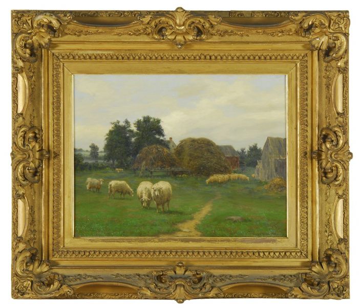 Farmyard scene with grazing sheep