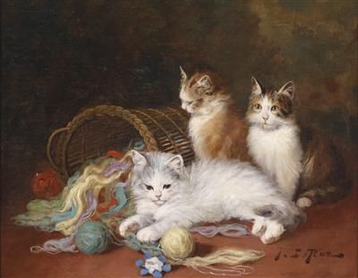 Cats