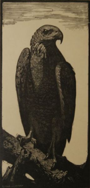 Eagle