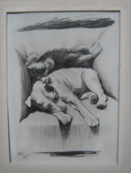 Sleeping dogs