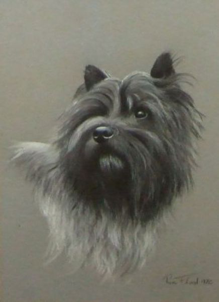 A Scottie Dog