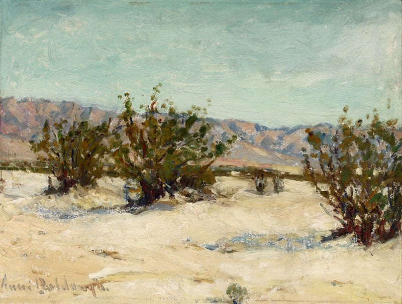 Desert Landscape