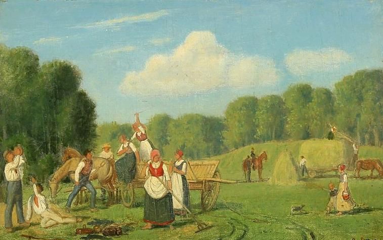 Harvest scenery