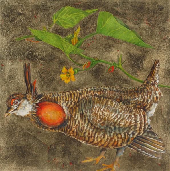 PRAIRIE CHICKEN