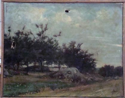 Paysage, La prairie