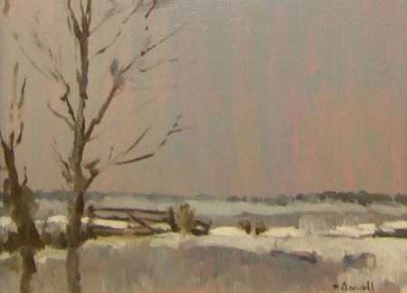 Winter Marsh Flooded 85