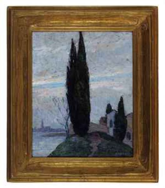 Cypress tree in a landscape