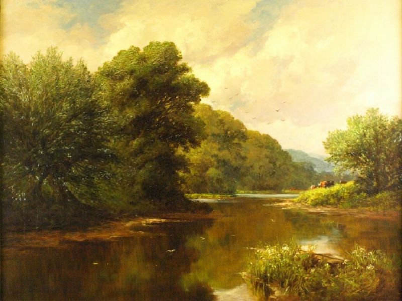 Wooded river landscape
