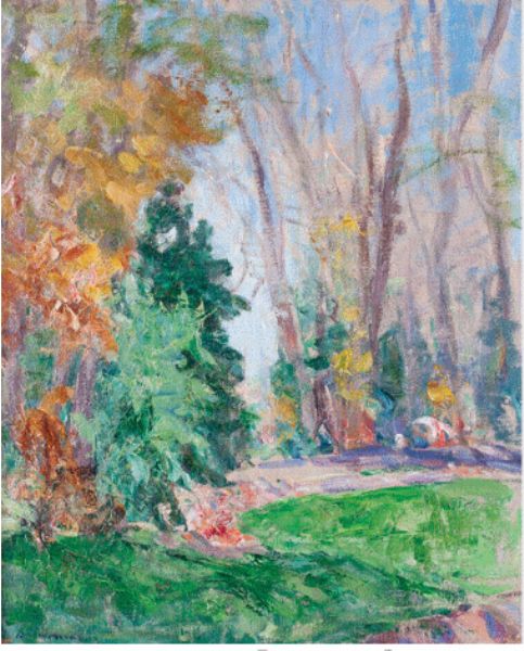 Forêt d'Automne