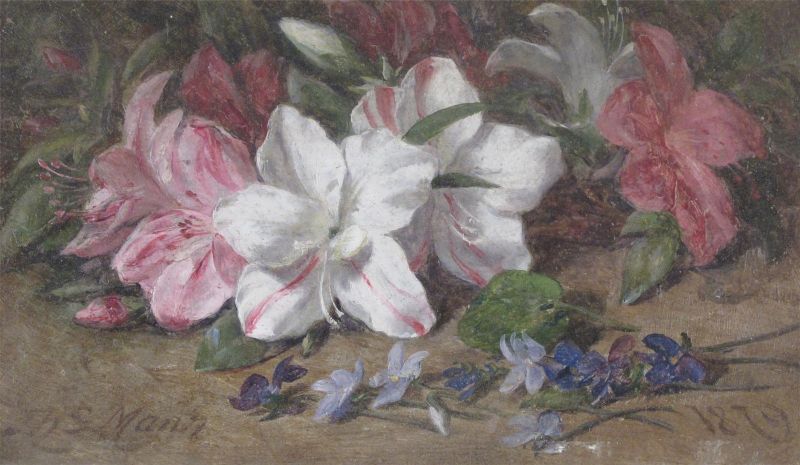 Azaleas and violets