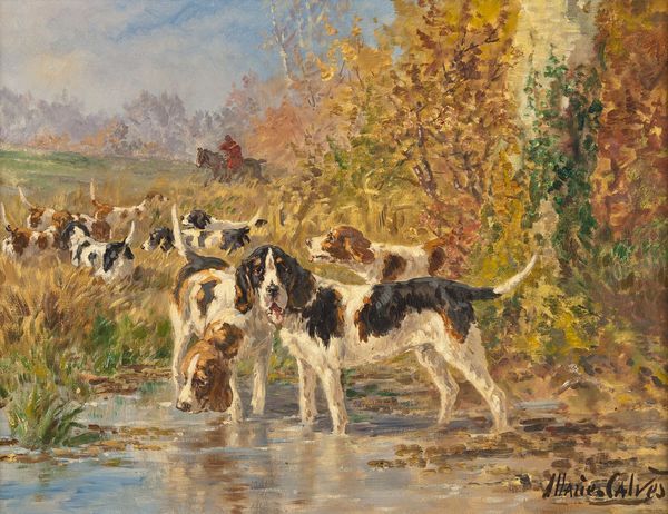 Jagdhunde am Weiher
