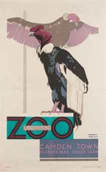 ZOO, VULTURES
