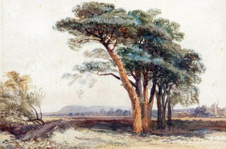Landscape with Trees