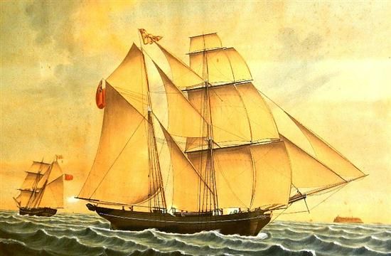 Ship's portrait
