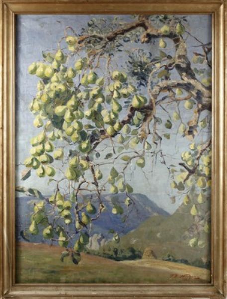 Birnbaum vor weiter Landschaft
