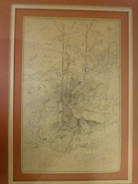 Etude d'arbre et rocher.