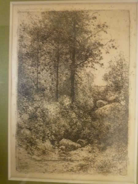 Lisière de forêt.