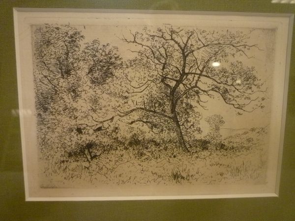Deux arbres.