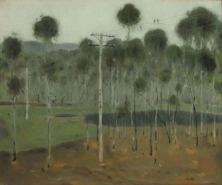 Little Lemon Eucalyptus