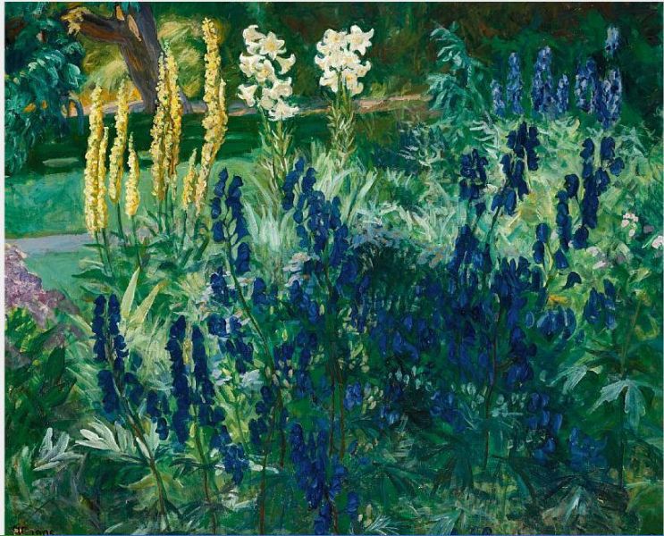 A garden scene with flowers