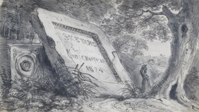 Woodland scene