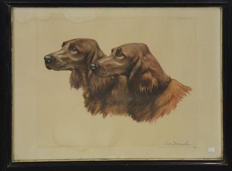 têtes de chiens