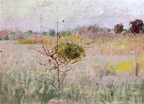 The Thorn Bush