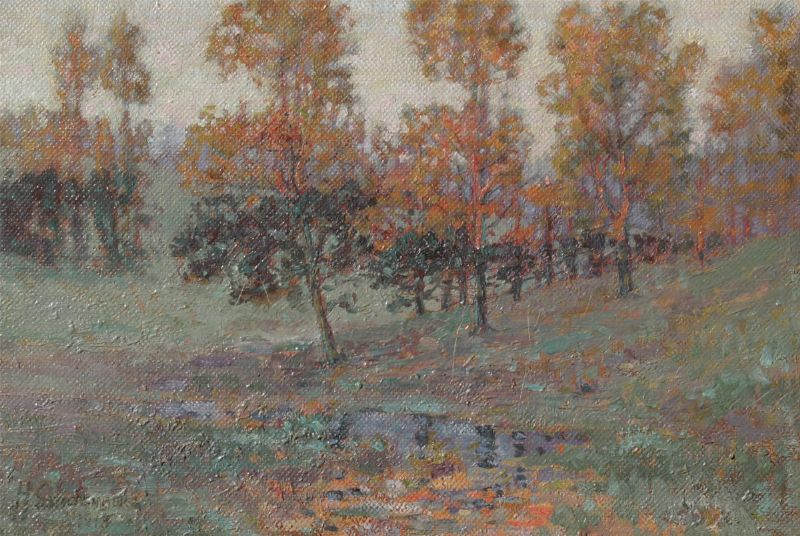 Sunlit Autumnal Meadow