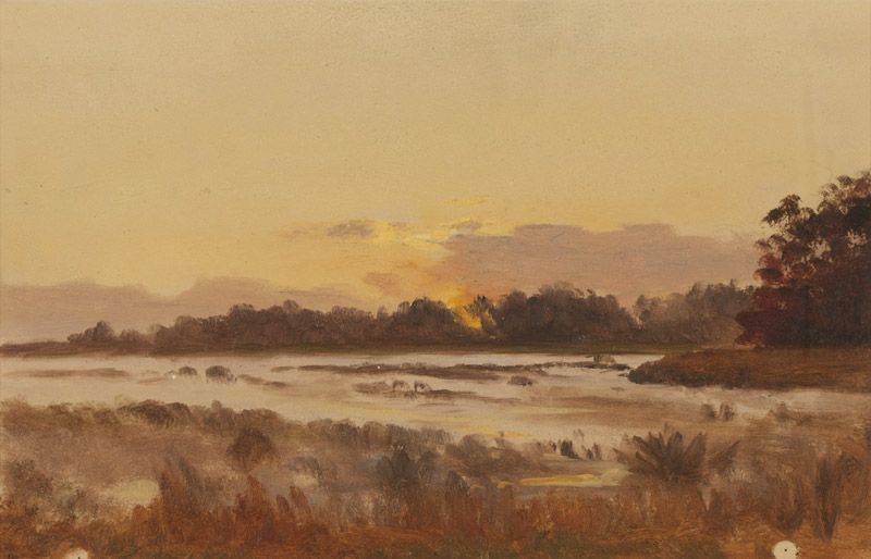 Atmospheric landscape at sunset