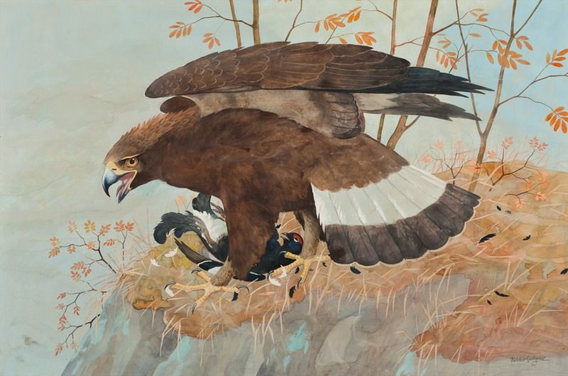 RETURNING WITH THE PREY