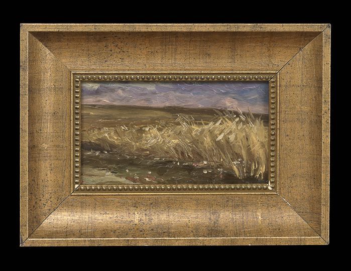 Ukranian Landscape