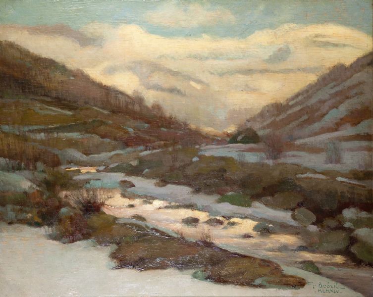 Paesaggio innevato