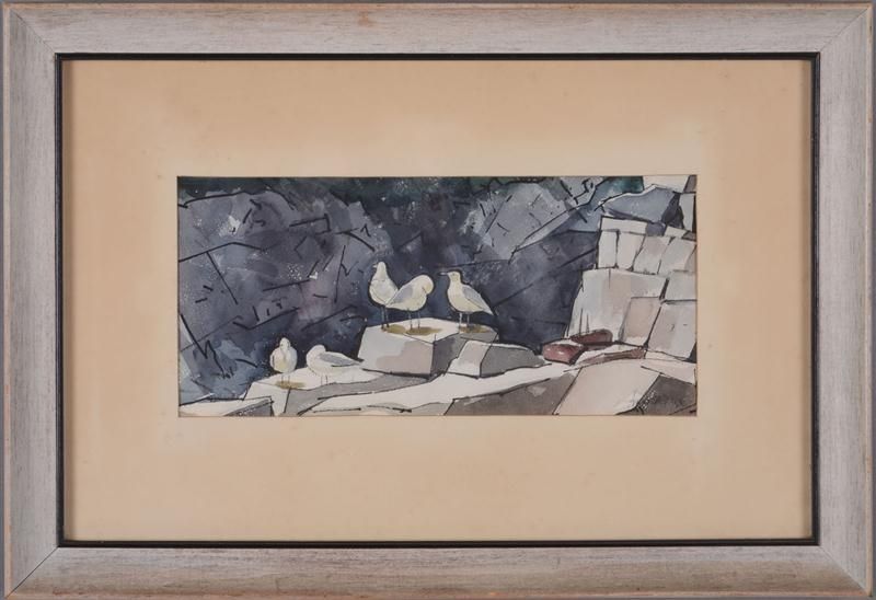 SEAGULLS ON GLOUCESTER ROCKS