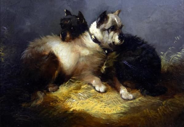 Two terriers seated on straw