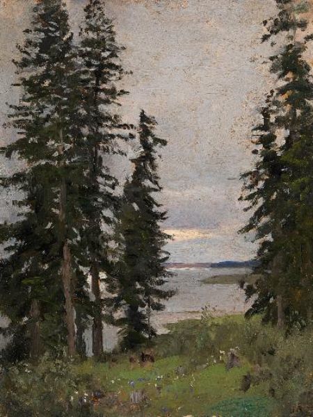 Forest by the Lake