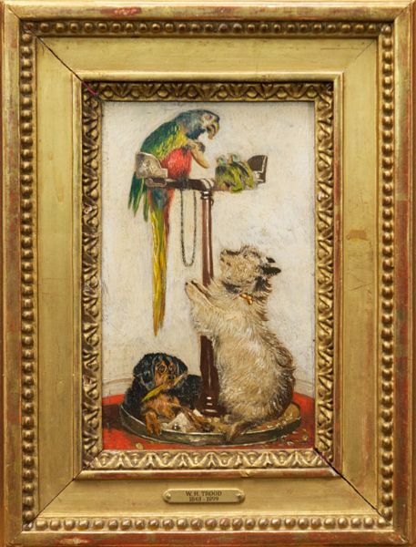 study of a parrot upon a perch with two dogs below