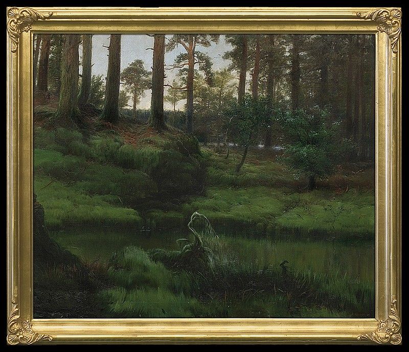 In the Forest