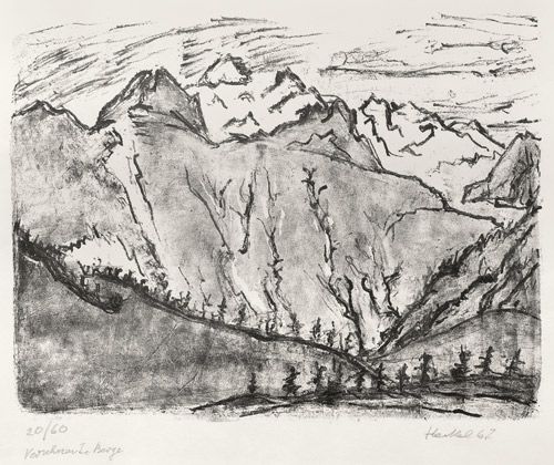 Verschneite Berge