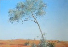 Desert Sapling